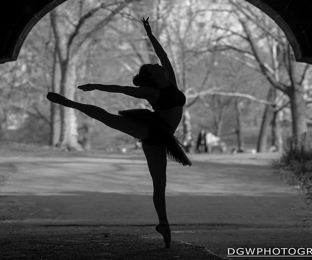 A Silhouette In Central Park...